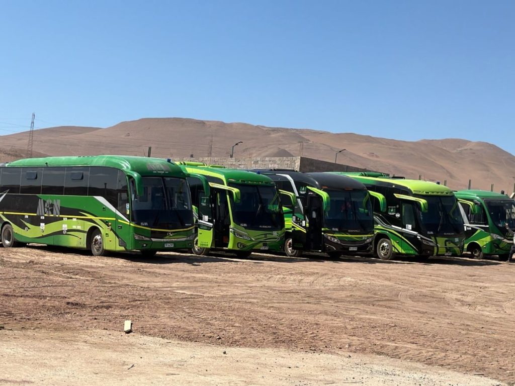 diseño sin título 2025 11 20t150154.138